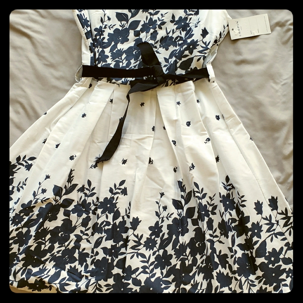 Beautiful Chopin Dress from Italy